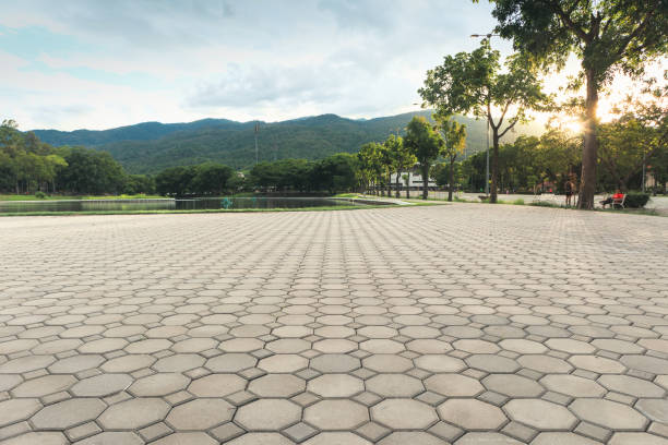 Best Decorative Driveway Pavers  in Edgewater, NJ